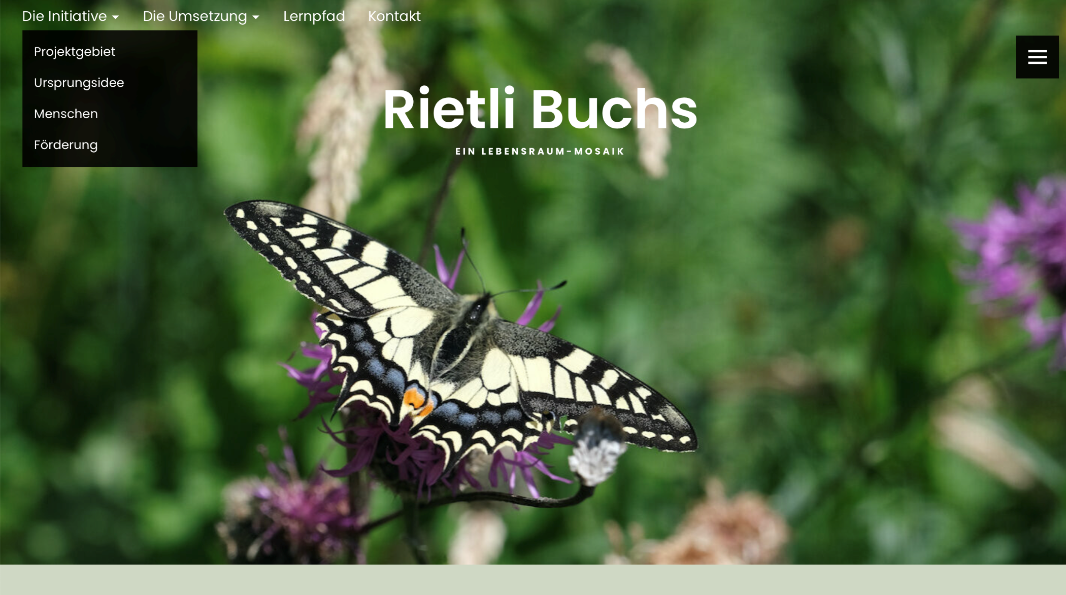 Rietli Buchs – a habitat mosaic